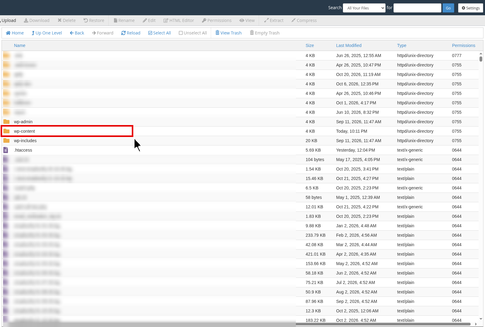 cPanel File Manager public_html folder of a WordPress site with wp-content highlighted