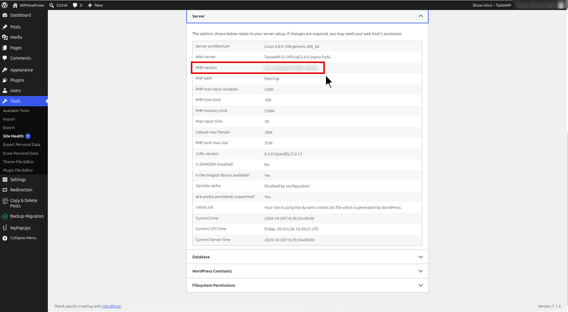 WordPress Site Health Info tab showing the current PHP version under the Server section