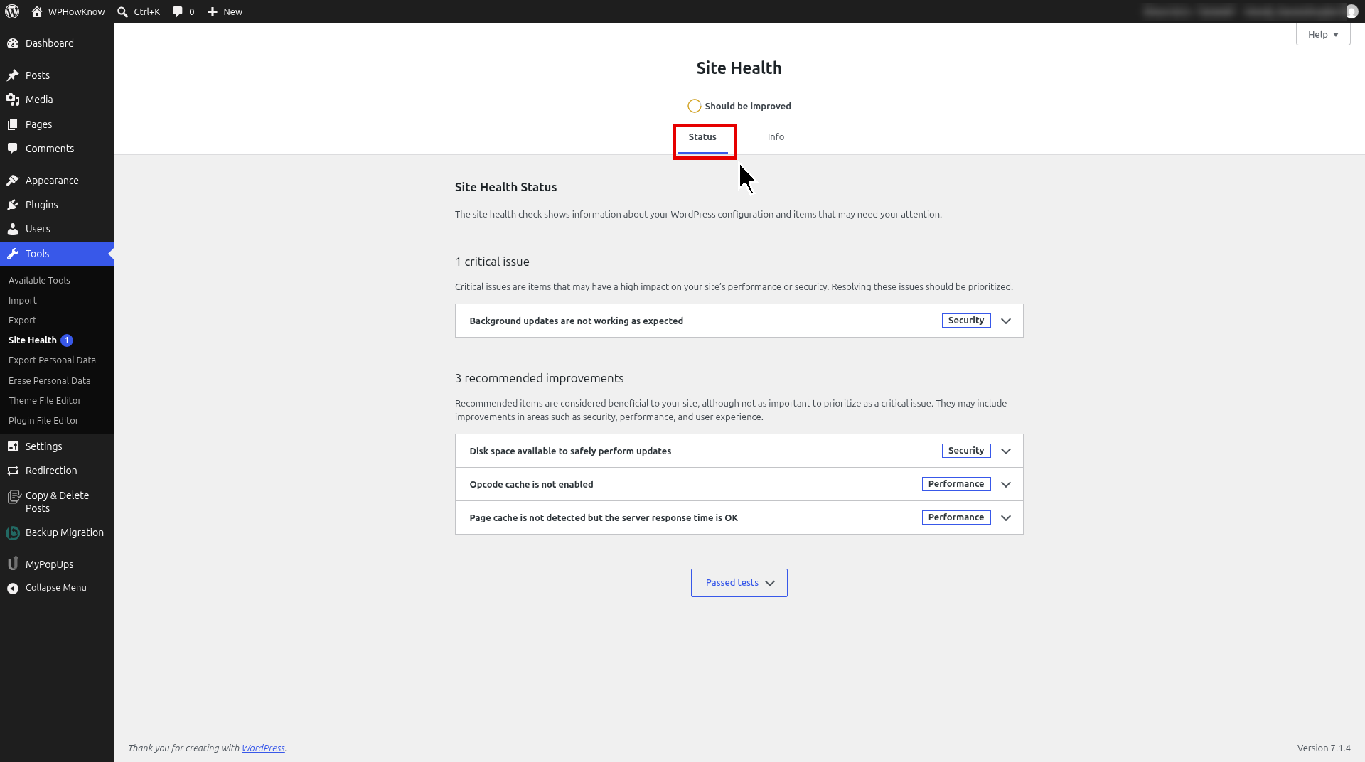 WordPress Site Health Status tab showing critical issues and recommended improvements